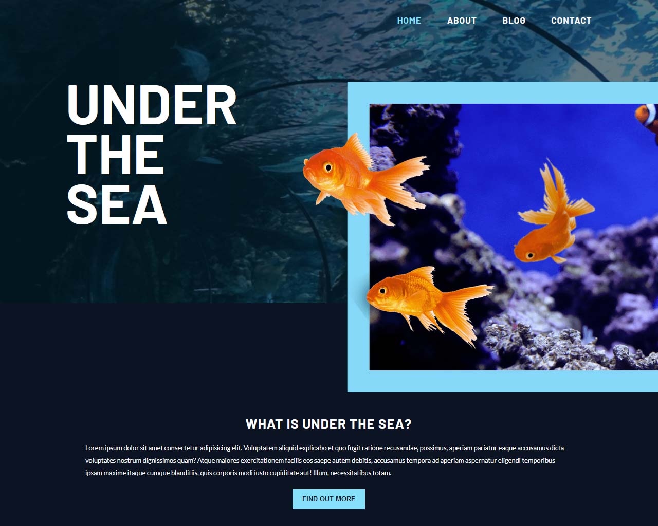 Explore the magic and serenity of a beautiful world under the sea.  Prepare to be in awe in this interactive web experience as you find yourself never wanting to leave.  Built using vanilla JavaScript using self-developed custom animations.  Best enjoyed on desktop.